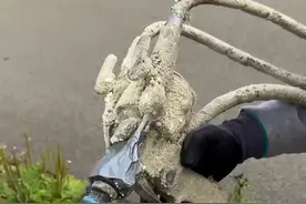 发泡剂的用途有多广泛？