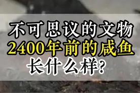 不可思议的文物：春秋战国时期的咸鱼，距今有2400多年的历史，收藏在湖北博物馆#文物 #历史 #文物故事 #不可思议的文物视频封面