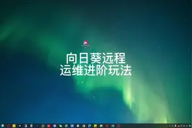 向日葵远程控制进阶玩法#远程控制 #电脑远程控制