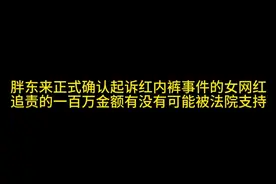胖东来正式确认起诉红内裤事件的女网红，追责的一百万赔偿金额有没有可能被法院支持#胖东来 #两个小段 #红内裤 #抖来普法2015#杨晓峰律师