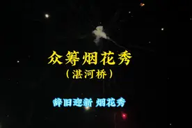 据说全平顶山各大湛河桥已经被放烟花的看烟花的包围了视频封面