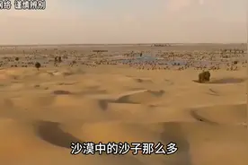 禁止废话：沙漠中的沙和普通的河沙有什么区别？涨知识了#知识视频封面