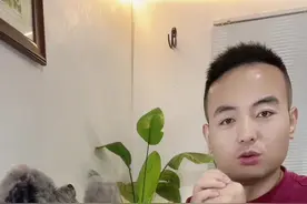 训练狗狗恭喜发财选对奖励食物至关重要‼️ #狗狗 #狗狗恭喜发财 #狗狗作揖 #训犬师哈王视频封面