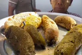 缅甸的野生蜂蜜两个一万缅币#缅甸野生蜂蜜 #缅甸生活