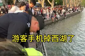 游客手机掉西湖了，景区义警和保安小哥 配合成功快速打捞。西湖里，不但有牛（金牛），有鱼，有鸳鸯鸭子，还有🐔（手机）😄，游西湖 少不了拍照 万一手滑 手机掉湖里了，一定标记好掉下去的精准位置，再去找保安人员帮忙打捞，这样会大大节省打捞的时间，避免长时间寻找，手机受损。西湖打捞手机是免费的。#游客手机掉西湖了#好人好事