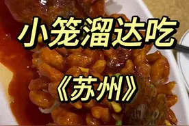 挑战一趟公交吃遍一座城市-《苏州》 我愿称苏州为“甜心王国”好甜～ 粉丝对我真好 送的好东西！#美食vlog #省饭课代表 #苏州美食 #人间烟火视频封面