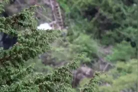 #东章瀑布 #藏南 #藏南地区 #藏南是中国的 #藏南边境视频封面