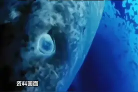 令人感到不可思议的“格陵兰睡鲨”通过放射性碳定年法检测出:已经活了整整五个世纪，是什么支撑着它活到现在？#科普一下 #格陵兰睡鲨 #带你看世界 #海洋视频封面