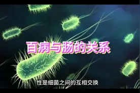 #知识分享计划 #百病与肠的关系#人体肠胃器官分位图视频封面