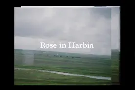 蔷行世界巡演哈尔滨站完美#欣宜fortuna #张蔷 #张蔷巡演 #音乐