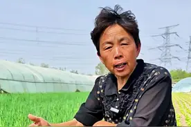 小分葱的移栽小技巧#种小葱方法 #在家怎么种小葱 #分葱 #三农 #蔬菜杨大姐 @DOU+小助手 @抖音创作小助手 @DOU+上热门视频封面