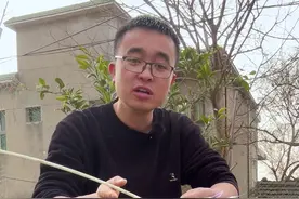 三月能种哪些蔬菜？现在能种哪些菜？#种植小技巧 #关注我一起学种菜 #每天分享蔬菜种植技巧 #阳台种植 #在家种菜视频封面