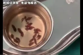 两广朋友爱吃的鱼生到底能不能吃呢？#科普一下 #科普#鱼生视频封面