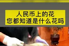 #育儿知识 #每天一起涨知识 #钱币知识 #涨见识视频封面