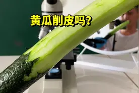 黄瓜带皮吃好，还是去皮吃好呢？我们显微镜来看看 #科普  #黄瓜