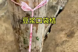 3秒快速打结！袋子口太短时教你这一招#实用小技巧 #生活好帮手