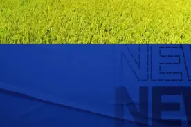 土地补偿标准来了 #土地 #山东dou知道 #征收补偿视频封面