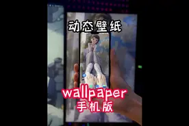 wallpaper手机版教程！苹果ios只有其它方法#桌搭 #wallpaper