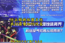 什么是饭圈文化 并不是谁的球迷多粉丝多而被定义为饭圈