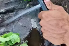 高水压灌溉水管破个大洞，看看老专家能否用最简单方法修复成功？ #实用小技巧 #现场实拍 #分享生活小技巧 #装修工具 #技术分享视频封面