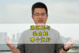湛江蚝与乳山生蚝，哪个更胜一筹？视频封面