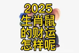 鼠人运：2025年生肖鼠的财运，进来看看吧！#72年的鼠 ##