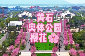 这里是黄石奥体公园，有1公里长的樱花“大道”视频封面
