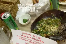 吃“尸鳖” #越南 #保护野生动物视频封面