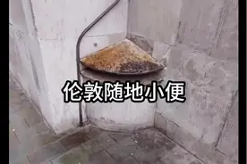 欧洲怎么解决随地小便？｜伦敦街头尿液导流板 #科普 #欧洲 #厕所视频封面
