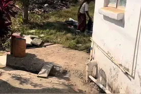 昨天我说夏伦你扎黄色的假发好看，问我要500夸查去扎假发了，一大早忙活给我做饭给我衣服。