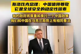斯洛伐克总理：中国值得尊敬，它是全球安全的稳定性因素，我的政府将尊重和奉行一个中国政策视频封面