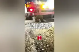 1月31日（采访），河南安阳，高速上货车后轮冒烟起火情况危急，00后司机狂追5分钟超车鸣笛截停，"要帮 我爸爸也是货车司机"#河南00后司机狂追5分钟截停起火货车 （上游新闻记者 周荞）视频封面