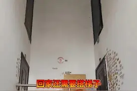 还有后续，搭楼梯了#轻功 #功夫 #武术视频封面