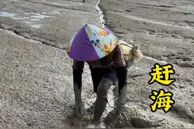 本以为会空手而归，没想到最 #这是新农人的来时路 #赶海 #抓螃蟹 #农村生活视频封面