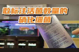 这样的硝化细菌产品很少见，高效的产品可不一定是白茫茫的视频封面