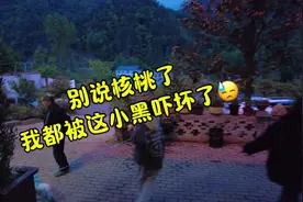 吓的我都失态了…😅养狗人的第一条：必须拴狗绳。。视频封面