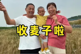 收麦子啦 体验一下丰收的喜悦#记录真实生活 #农村生活  #丰收的季节 #我的乡村生活 #收麦子视频封面