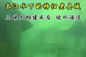 曾经的秭归县城，为支持三峡水利工程建设（防洪发电），7.9万平方千米的昔日家园淹没在长江水下。三峡百万移民，舍小家为大家，秭归人民大爱，那是多少人回不去的故乡，留不住的过往，历史不能被遗忘，如果你有时间，就去三峡移民博物馆看看吧#三峡移民博物馆 #三峡移民#爱上来电宜昌视频封面