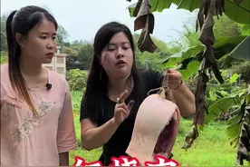 红烧肉 一个女孩子能做出这么美味的红烧肉，肥而不腻，我觉得我已经看上她了！#乡村美食 #记录我的农村生活#三农#新农人计划 #美丽乡村视频封面