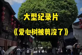 大型纪录片《福州三坊七巷爱心树被剪没了》#福州 #城市风景视频封面