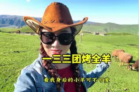 一三三团的蒸面鸡大家都吃过了，烤全羊更是美味啊！视频封面