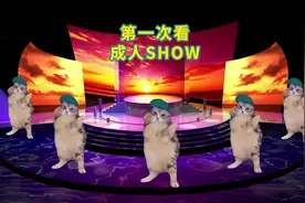 第一次在泰国看成人秀belike#猫meme #chipi猫咪 #泰国 #魔性