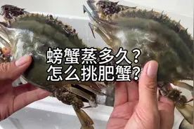 梭子蟹到底蒸多久？怎么挑顶盖儿肥的螃蟹？海边人不翻车的窍门