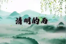 《清明的雨》 #缅怀先烈致敬英雄 #清明时节雨纷纷视频封面