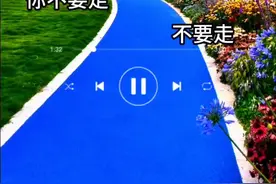#林翠萍经典老歌 #不要走 完整版#经典歌曲 #醉美音乐库 #怀旧老歌视频封面