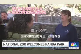 饲养员介绍宝力青宝适应情况 #大熊猫视频封面