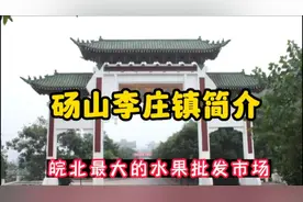 李庄镇是砀山有名乡镇，有皖北最大的水果批发市场