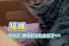 眼睛是越来越圆了！！