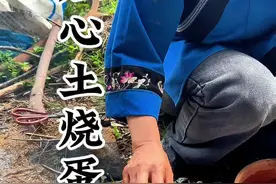 灶心土烧蛋 这道土美食做法简单，味道可不简单#小妙招大作用 #我的乡村生活 #爱美食爱生活 #灶心土 #伏龙肝