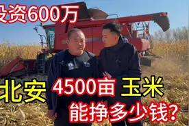 黑河投资600万，种植4500亩地玉米，今年挣多少钱？视频封面